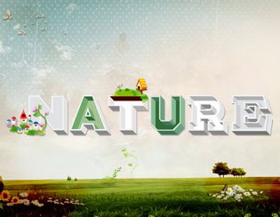 Nature II H