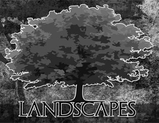 Landscapes S