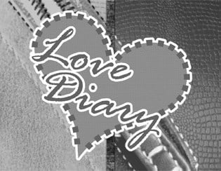Love Diary V